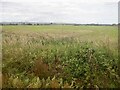 Carse land, Lochar Water