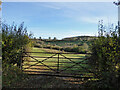 Gateway view over Padsdon Bottom