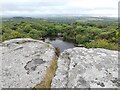 View from Carn Grey Rock