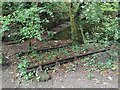 Abandoned railway track near Wheal Martyn Train