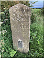 Old Guide Stone North of St Tudy