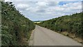 Country Lane near St Tudy