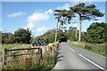 Approaching the Bridge, Manorowen