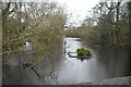 Pond, Common Hill Common