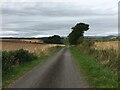 Minor road towards Battledykes