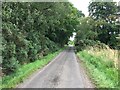 Minor road near Oathlaw