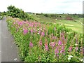 Cullen - Old Railway Line