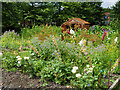 Ordsall Hall Allotment Garden