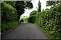 Bend along Ballynahatty Road