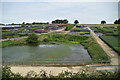 Pond at Garden Centre