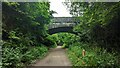 Bridge Over the Strawberry Line at Sandford Batch