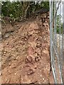 Wonford Road, Exeter; the structure of a Victorian stone wall