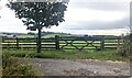 Wooden gate and wooden fence in rural Monmouthshire