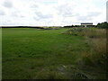 Grassland near New Lodge Farm