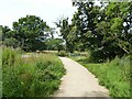 Newly resurfaced path around housing