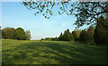 Field and trees, Park View Point