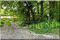 Footpath to Cleveley