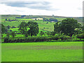 Farmland east of Newlands Hall (3)