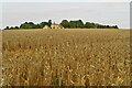 Leys Farm on the hill