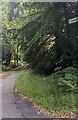 Narrow road towards Cleddon, Monmouthshire