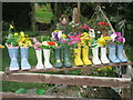 Wellington boot flowerpots