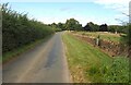 The Road to Wykeham Forest