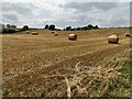 Straw bales and stubble