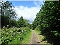 Path in Woodheys Park