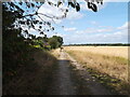 Track running between the field and the houses