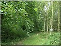 Track with no public access, Methley Park