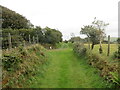 Llwybr wrth Dreffynnon / Path at Treffynnon