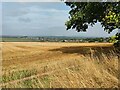 Farmland at High Habberley