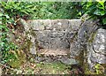 Stone Stile, Aylburton