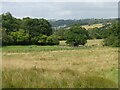 Landscape near Gilling East