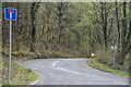 Ganllwyd : Road