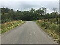 Minor road near Rhydcymerau