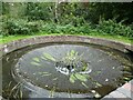 Staffordshire and Worcestershire canal