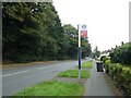 Bus stop on Henwood Road