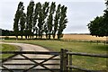 Sellindge: Entrance to Southenay Farm