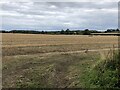 Stubble near Mitford