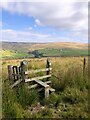 The tranquility of the North Pennines, with Rookhope as a charming backdrop