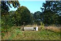 Bench beside Horsham Road