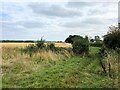 Bridleway near Thurgarton