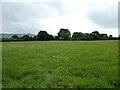 Footpath line across a field near Brockton