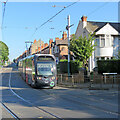 Crossing Gregory Boulevard