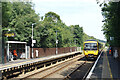 Train at Deepdene Station