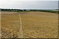 Footpath to Over Worton