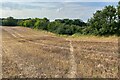 Footpath to Over Worton