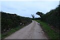 Track towards Halwyn Farm