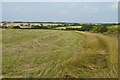 Hay field by the footpath